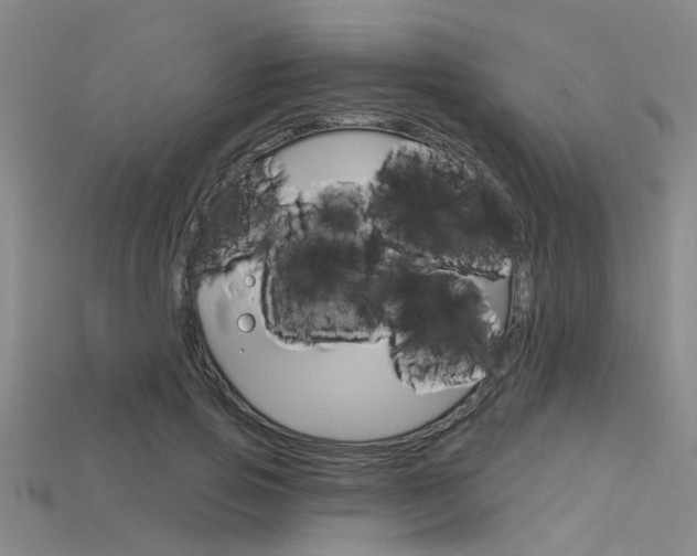 X0000115830741200911131126
