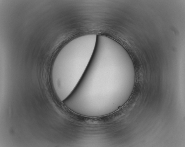 X0000115830742200911131126
