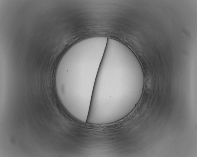 X0000115830743200911131126