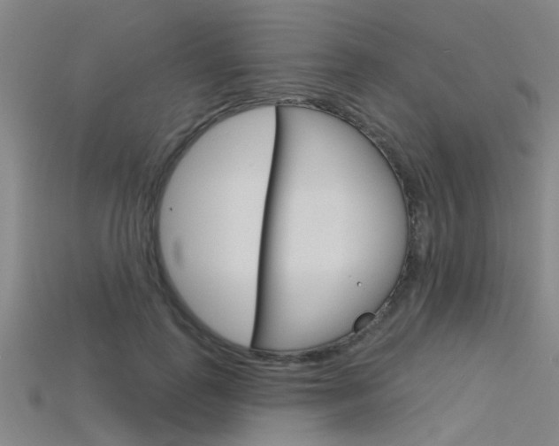 X0000115830747200911131127