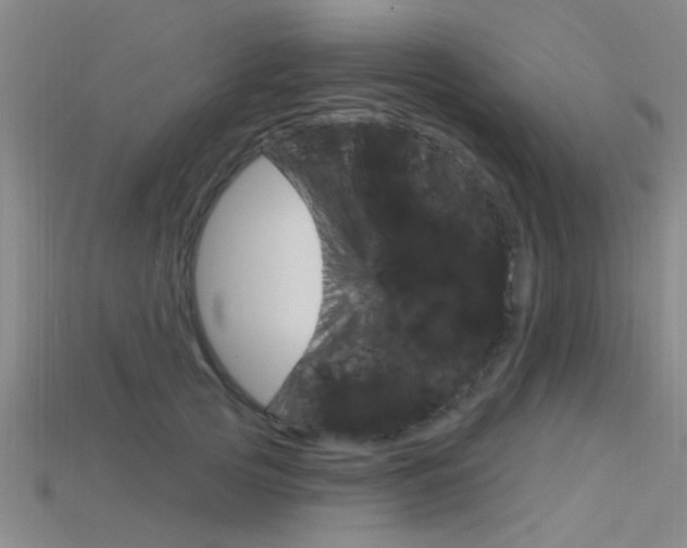 X0000115830753200911131127