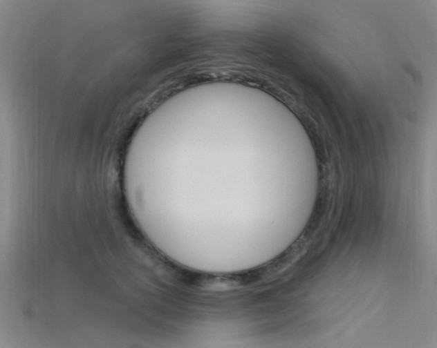 X0000115830754200911131127