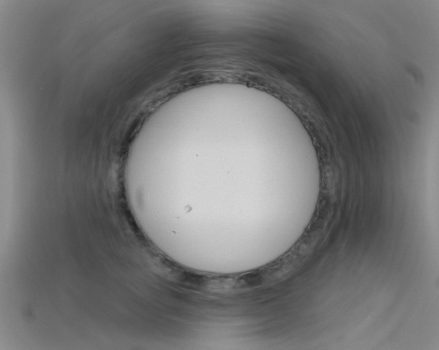 X0000115830757200911131127