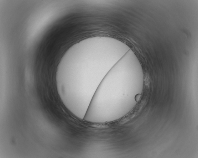 X0000115830763200911131127