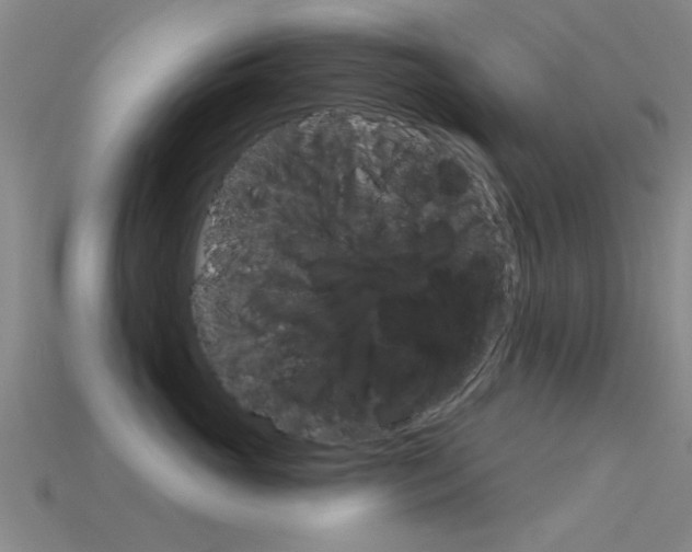 X0000115830765200911131127