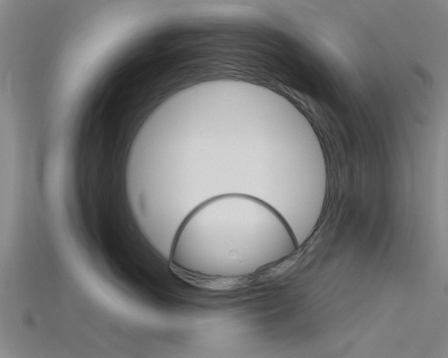 X0000115830766200911131127