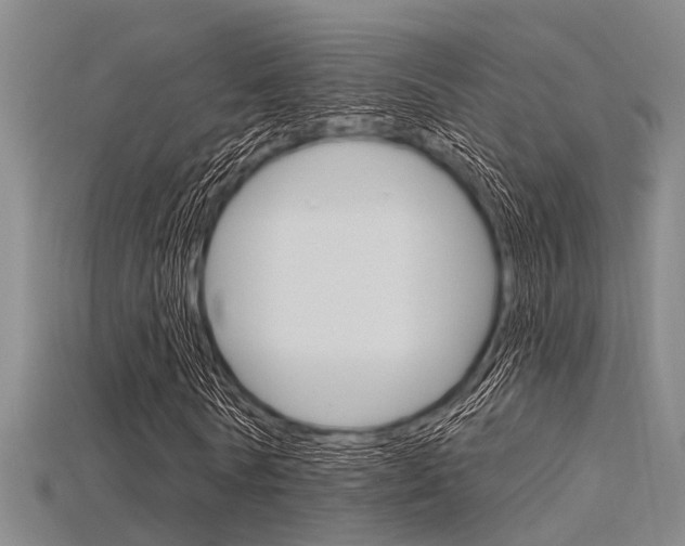 X0000115830770200911131126