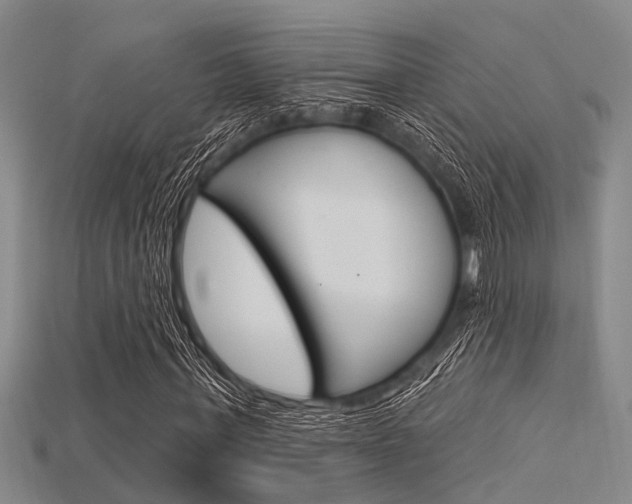 X0000115830771200911131126