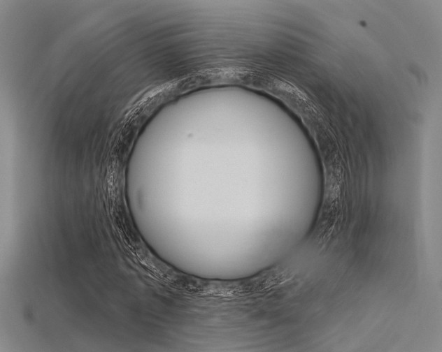 X0000115830773200911131126
