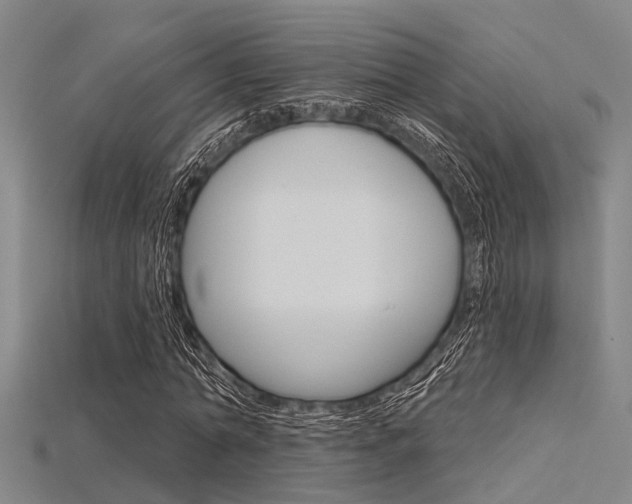X0000115830774200911131126