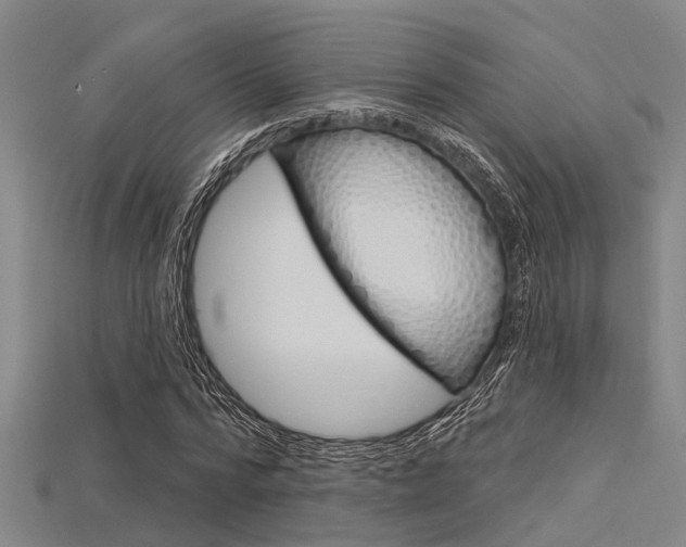 X0000115830776200911131126