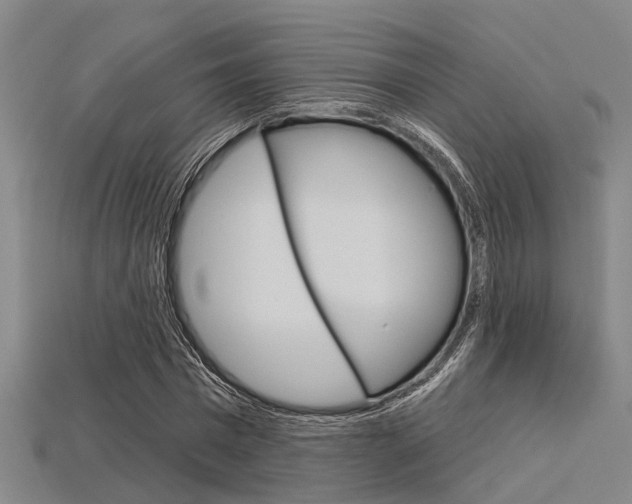 X0000115830777200911131126