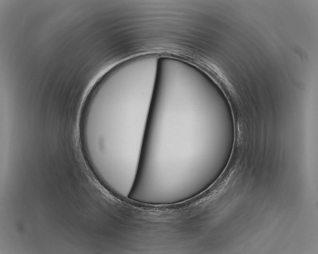 X0000115830780200911131126