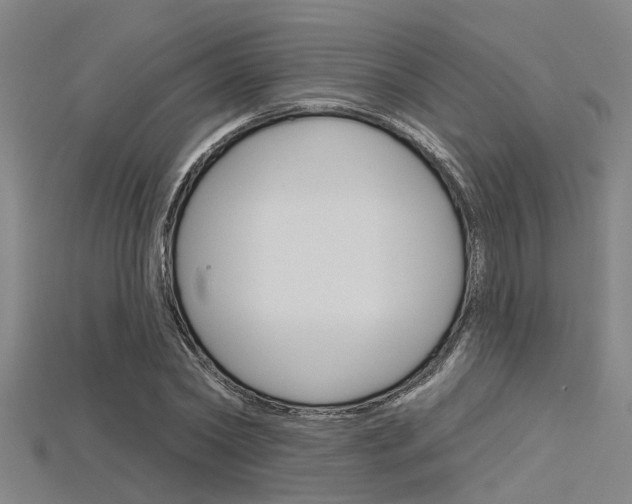 X0000115830782200911131126