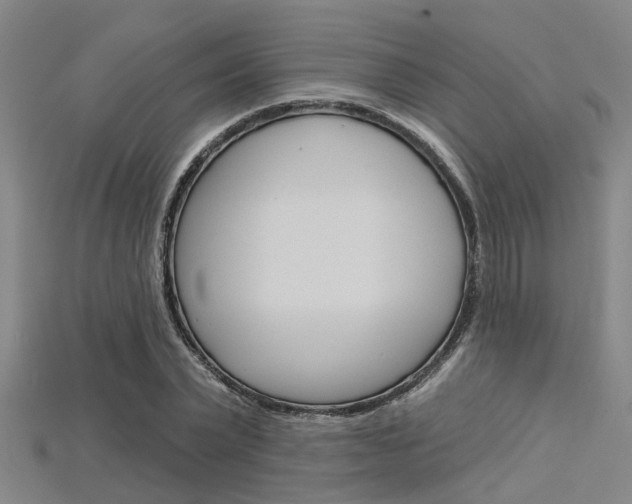X0000115830783200911131126