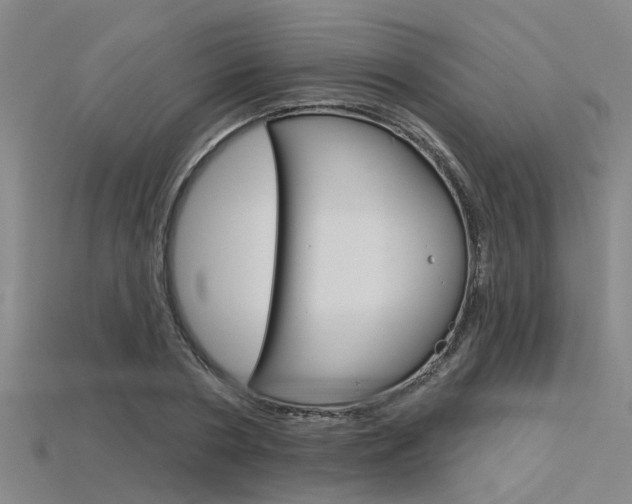 X0000115830786200911131126