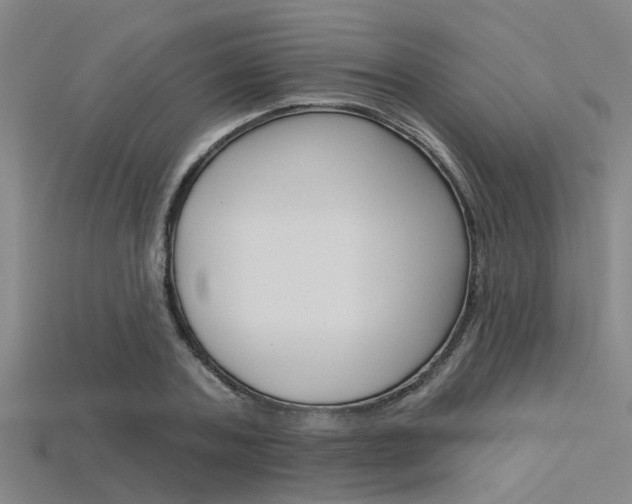 X0000115830787200911131126