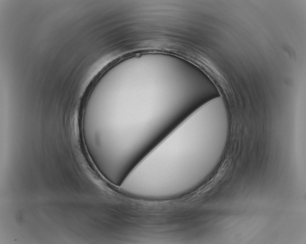 X0000115830788200911131126