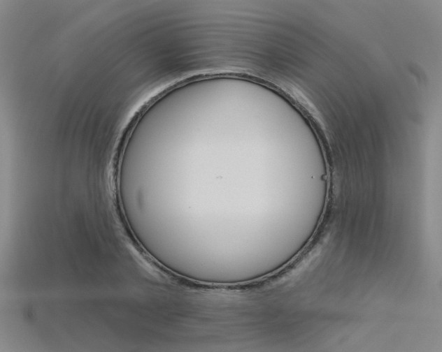 X0000115830789200911131126