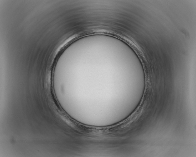 X0000115830790200911131126