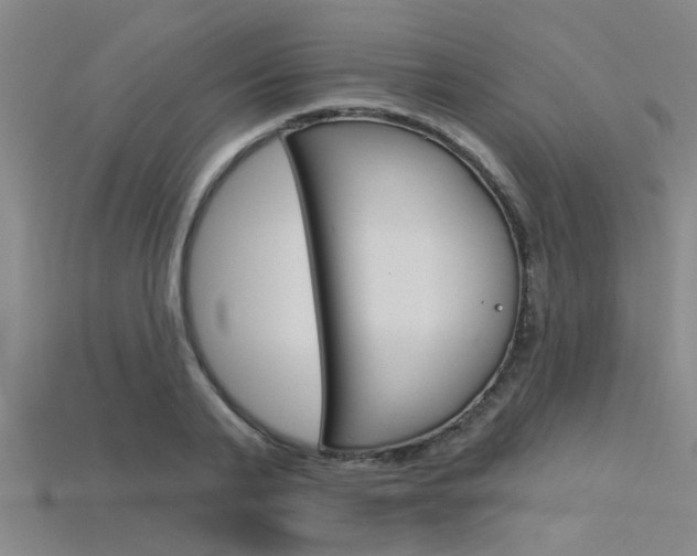 X0000115830791200911131126