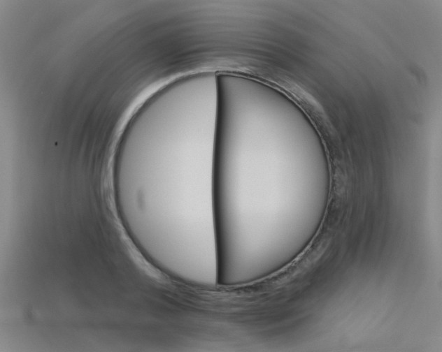 X0000115830792200911131126