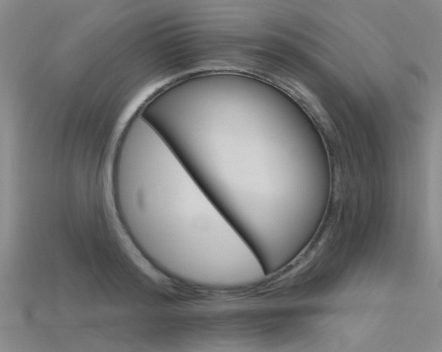 X0000115830796200911131126