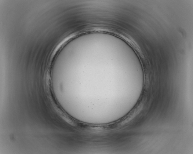 X0000115830798200911131126