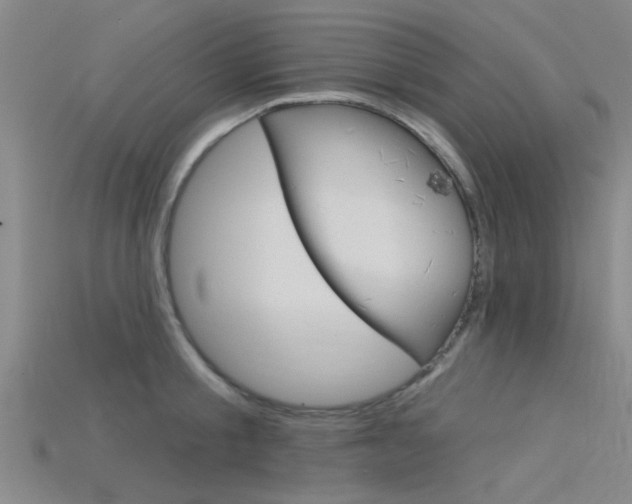 X0000115830805200911131126