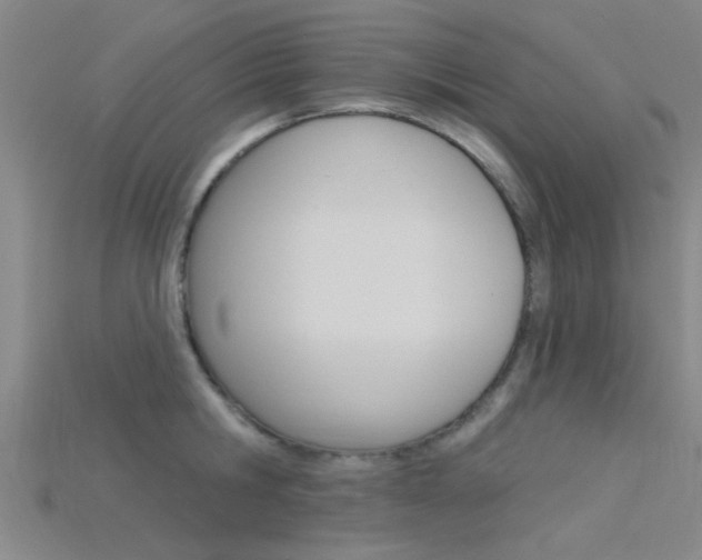 X0000115830806200911131126
