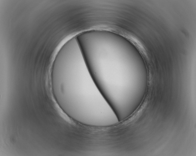 X0000115830808200911131126