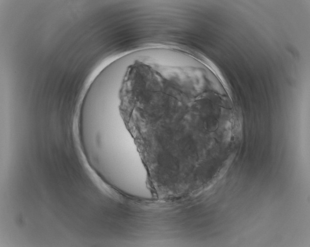 X0000115830811200911131126