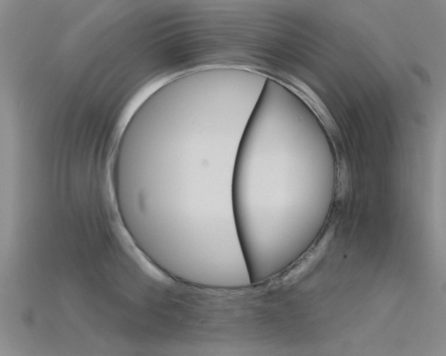 X0000115830812200911131126