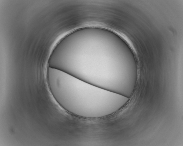 X0000115830815200911131126