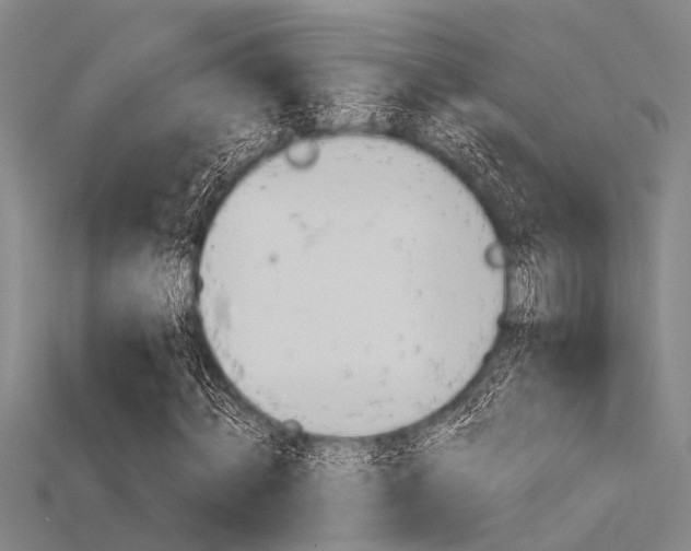X0000115830820200911131125