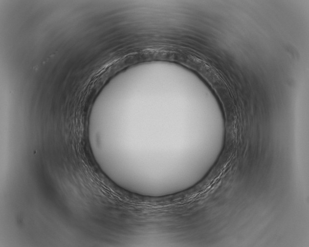 X0000115830821200911131125
