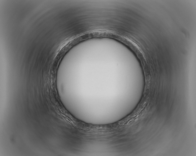 X0000115830823200911131125