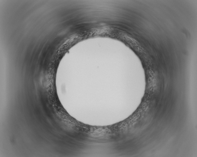 X0000115830824200911131125