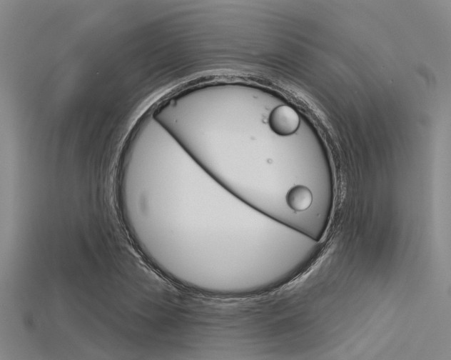 X0000115830829200911131125