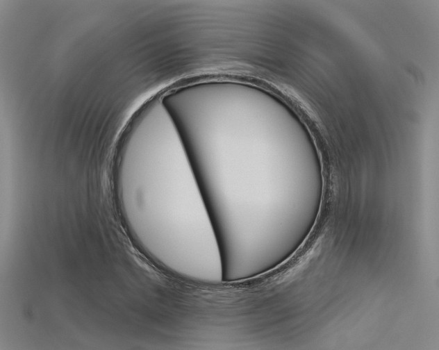 X0000115830830200911131125
