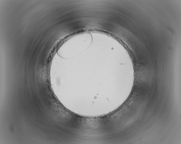 X0000115830832200911131125