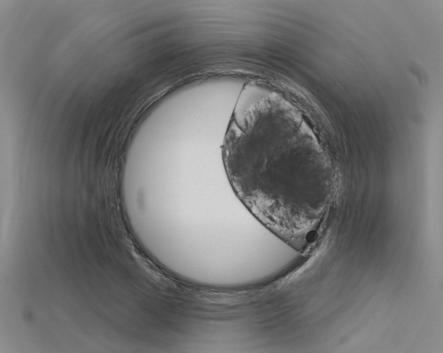 X0000115830833200911131125