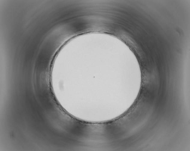 X0000115830836200911131125