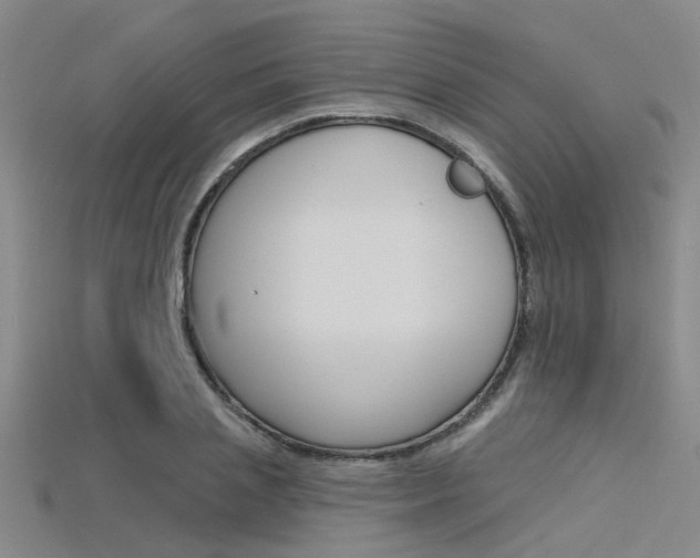 X0000115830837200911131125