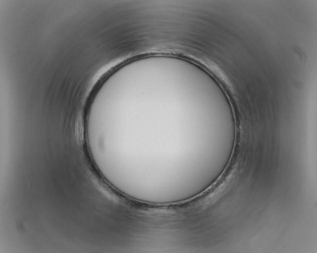 X0000115830838200911131125