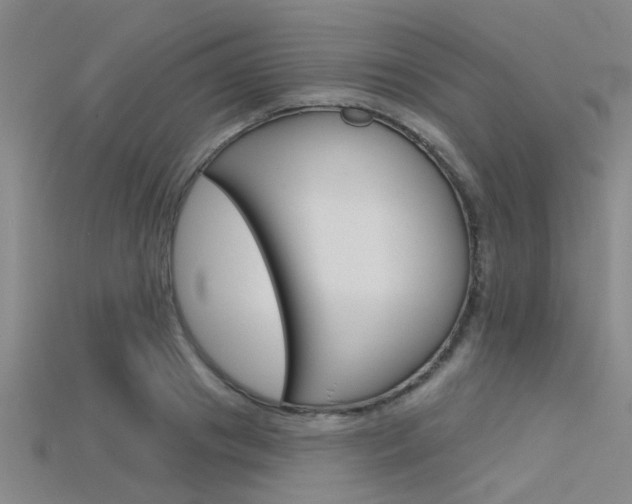 X0000115830841200911131125