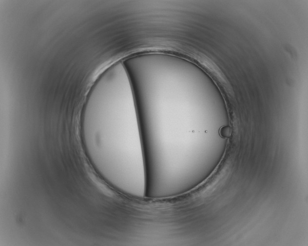 X0000115830842200911131125
