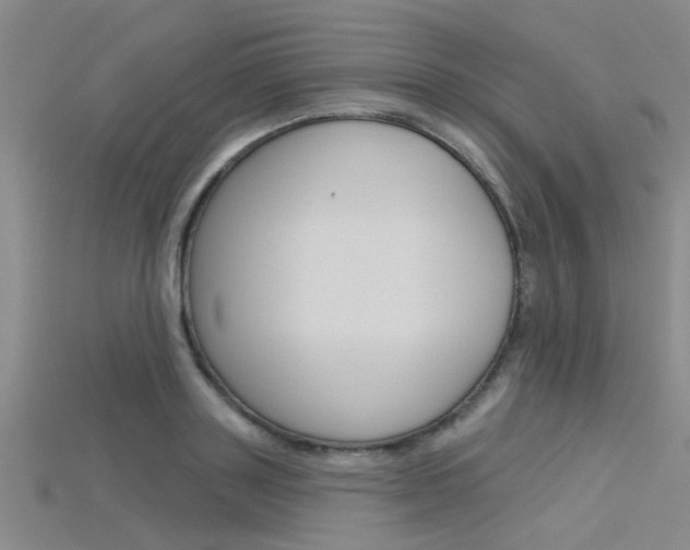 X0000115830843200911131125
