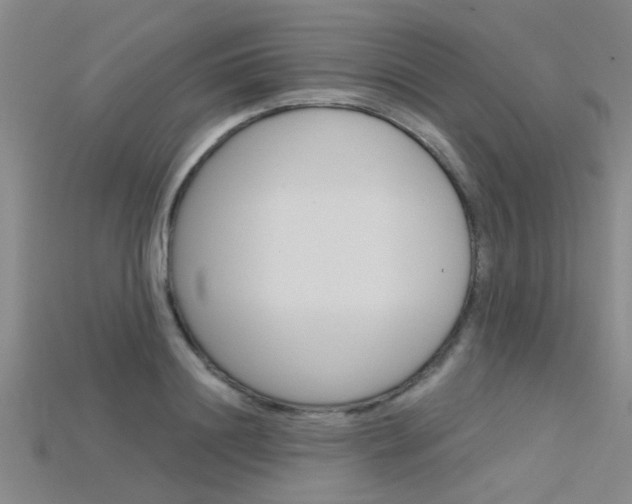 X0000115830844200911131125