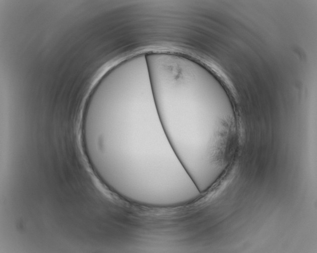 X0000115830845200911131125